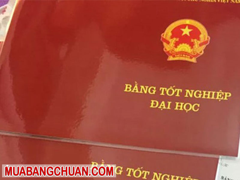 Lam Bang Dai Hoc 3
