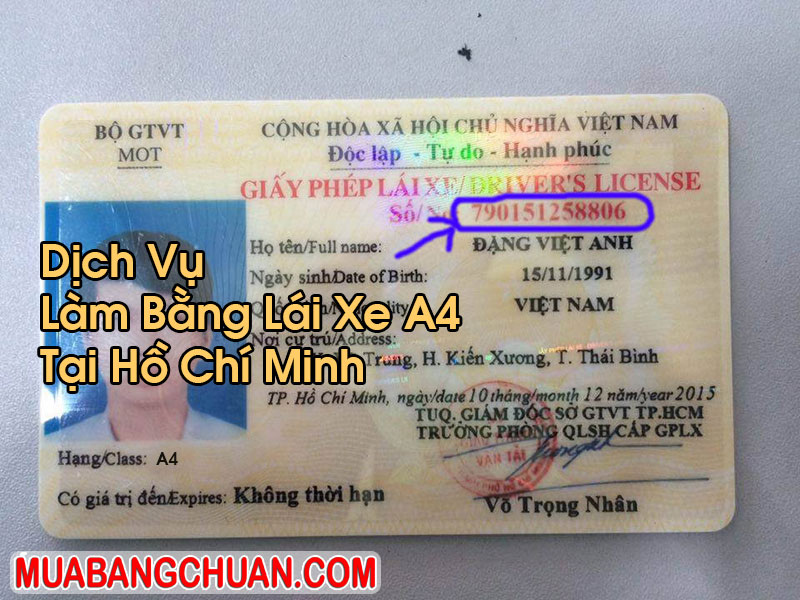 Làm Bằng Lái Xe A4 Tại Hồ Chí Minh