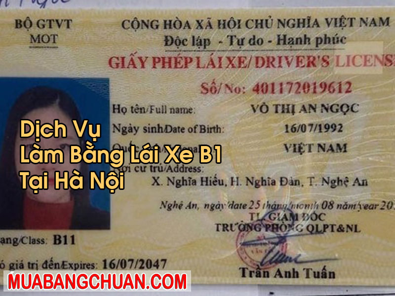 Làm Bằng Lái Xe B1 Tại Hà Nội