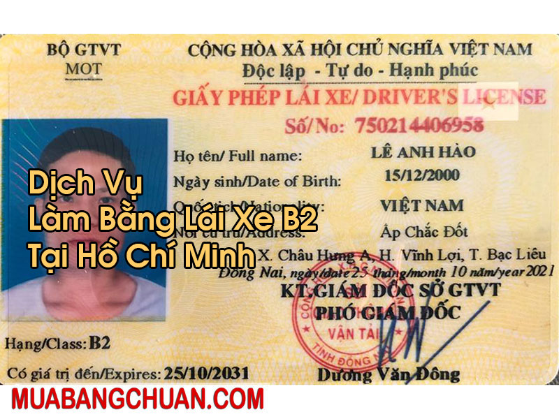 Làm Bằng Lái Xe B2 Tại Hồ Chí Minh