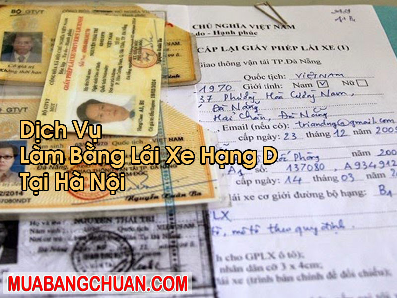 Làm Bằng Lái Xe Hạng D Tại Hà Nội