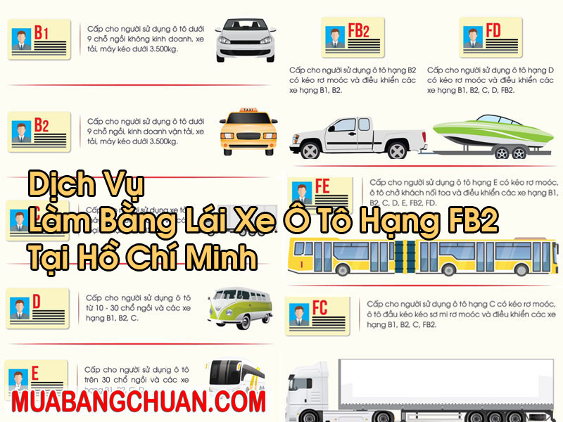 Làm Bằng Lái Xe Ô Tô Hạng FB2 Tại Hồ Chí Minh