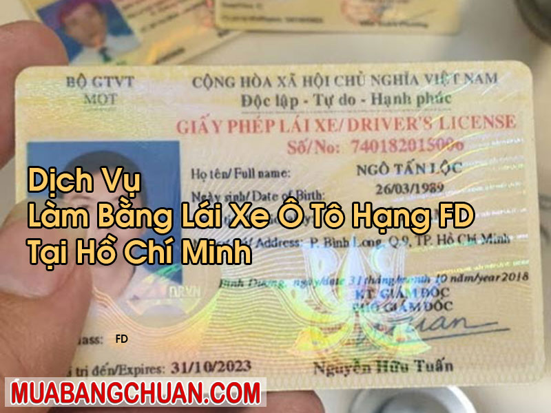 Làm Bằng Lái Xe Ô Tô Hạng FD Tại Hồ Chí Minh