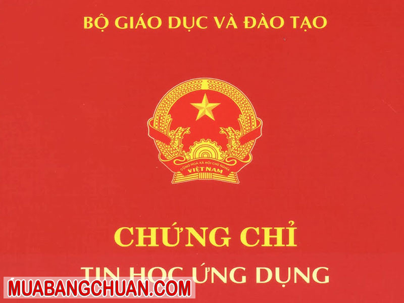 Lam Chung Chi Tin Hoc 1