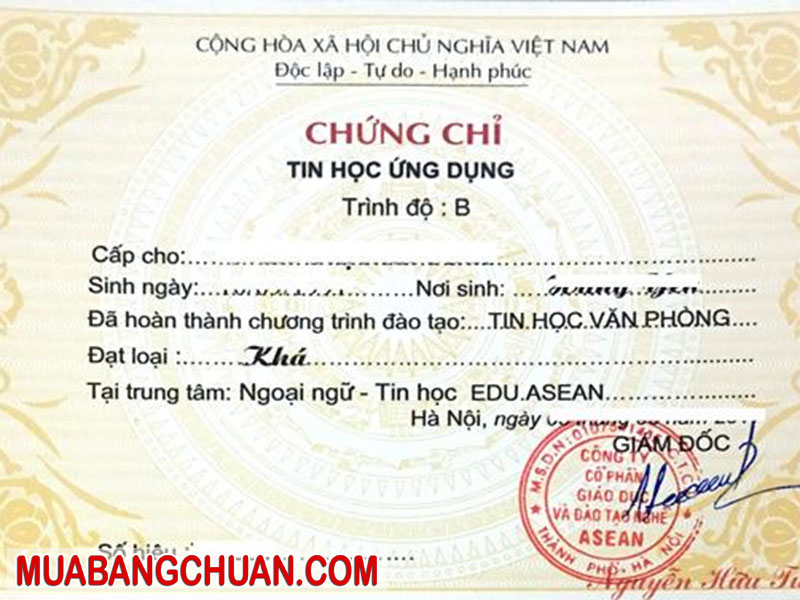 Lam Chung Chi Tin Hoc 3
