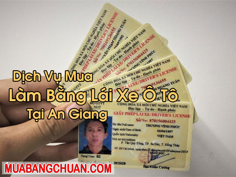 Làm Bằng Lái Xe Ô Tô Tại An Giang