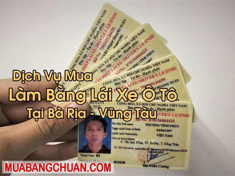 Làm Bằng Lái Xe Ô Tô Tại Bà Rịa - Vũng Tàu