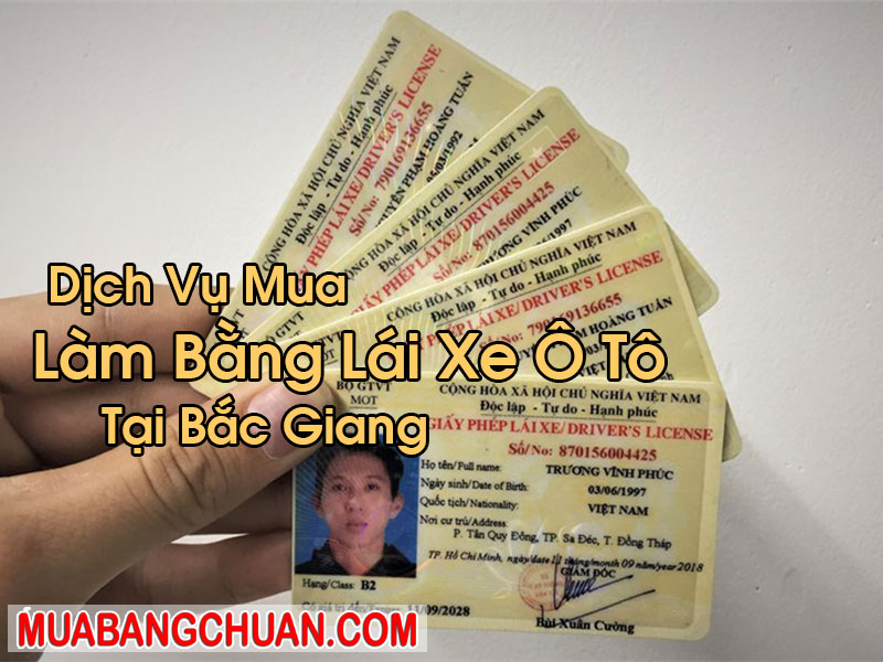 Làm Bằng Lái Xe Ô Tô Tại Bắc Giang