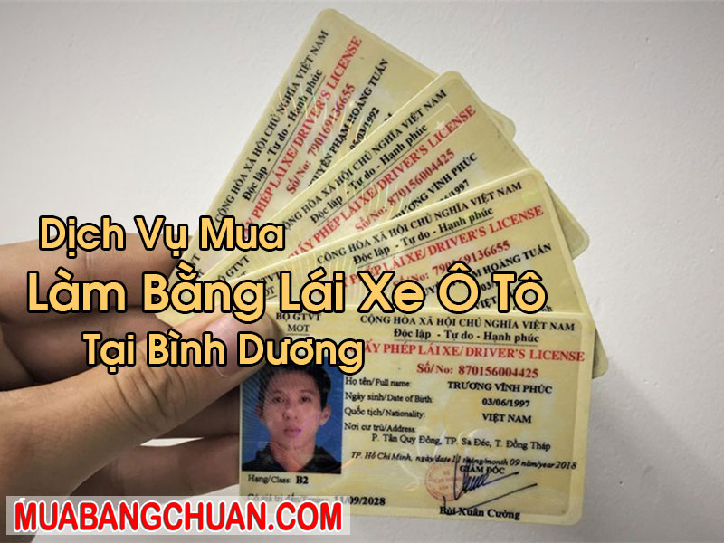 Làm Bằng Lái Xe Ô Tô Tại Bình Dương