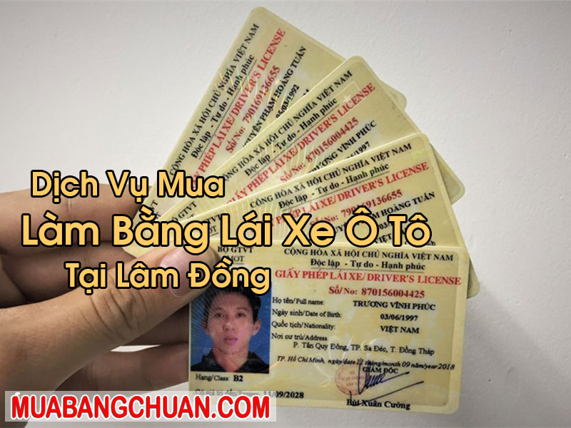 Làm Bằng Lái Xe Ô Tô Tại Lâm Đồng