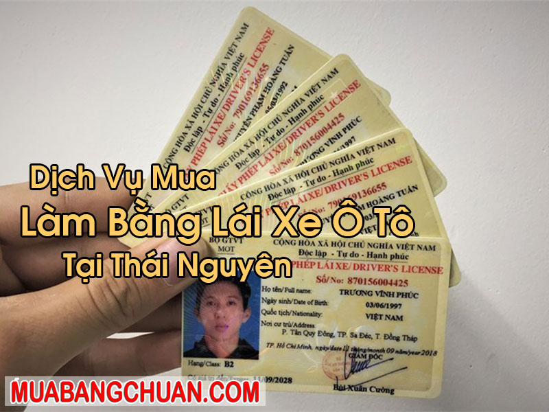 Làm Bằng Lái Xe Ô Tô Tại Thái Nguyên