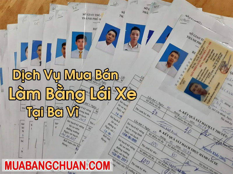 Làm Bằng Lái Xe Tại Ba Vì