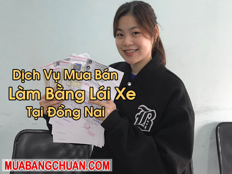 Làm Bằng Lái Xe Tại Đồng Nai