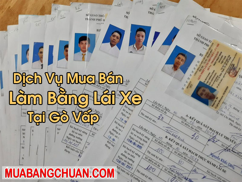 Làm Bằng Lái Xe Tại Gò Vấp