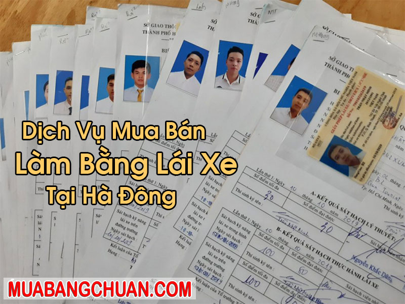 Làm Bằng Lái Xe Tại Hà Đông