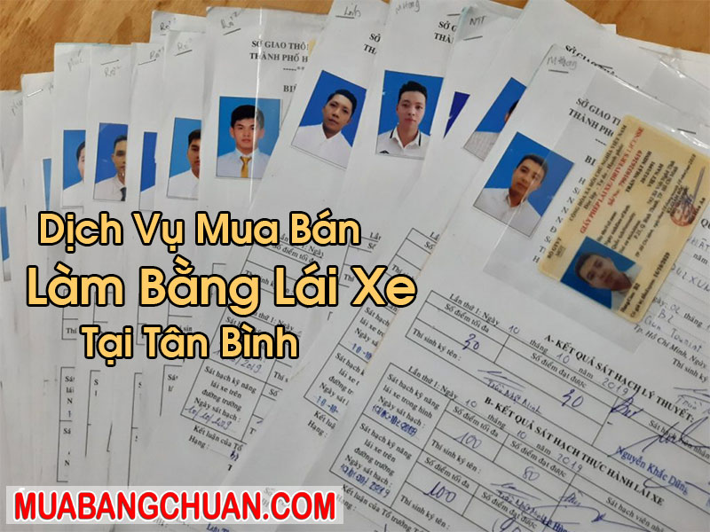 Làm Bằng Lái Xe Tại Tân Bình