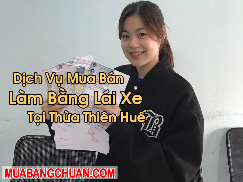 Làm Bằng Lái Xe Tại Thừa Thiên Huế