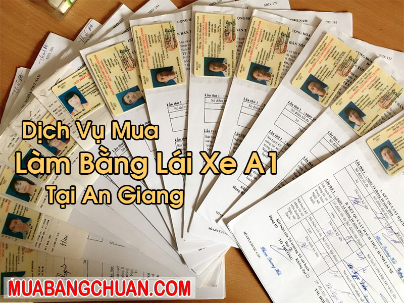 Làm Bằng Lái Xe A1 Tại An Giang