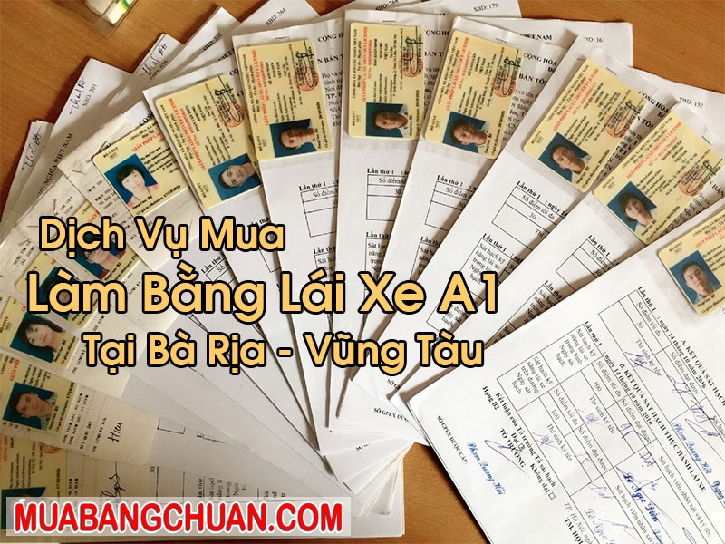 Làm Bằng Lái Xe A1 Tại Bà Rịa - Vũng Tàu