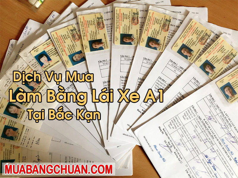 Làm Bằng Lái Xe A1 Tại Bắc Kạn