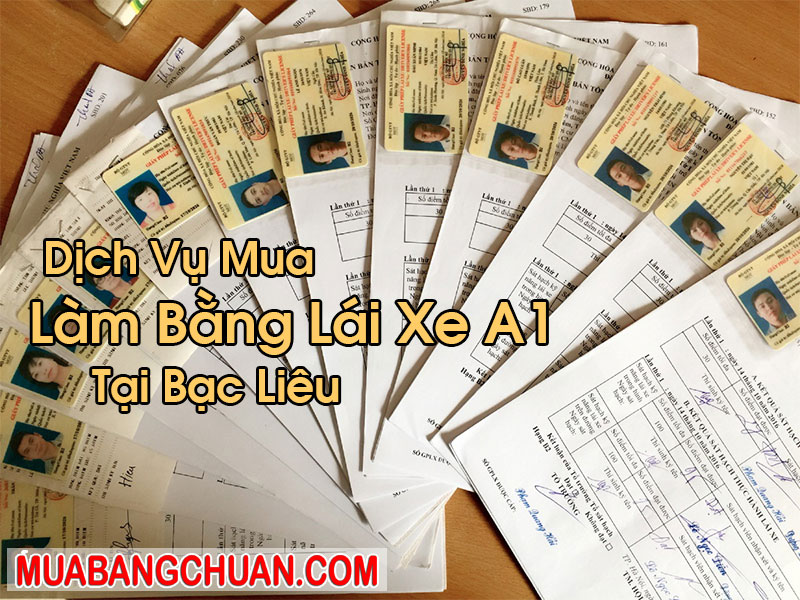 Làm Bằng Lái Xe A1 Tại Bạc Liêu