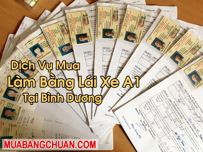 Làm Bằng Lái Xe A1 Tại Bình Dương