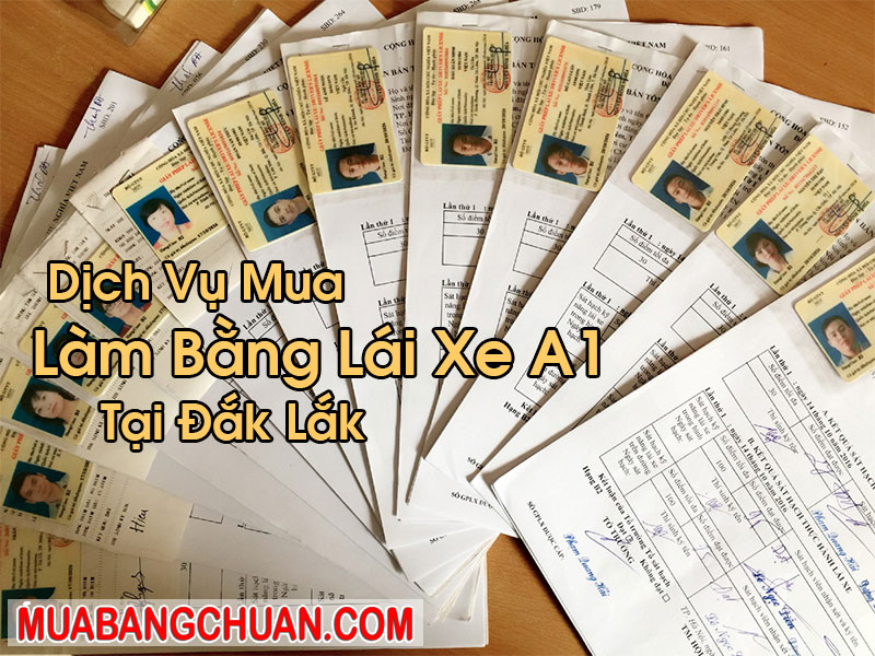 Làm Bằng Lái Xe A1 Tại Đắk Lắk