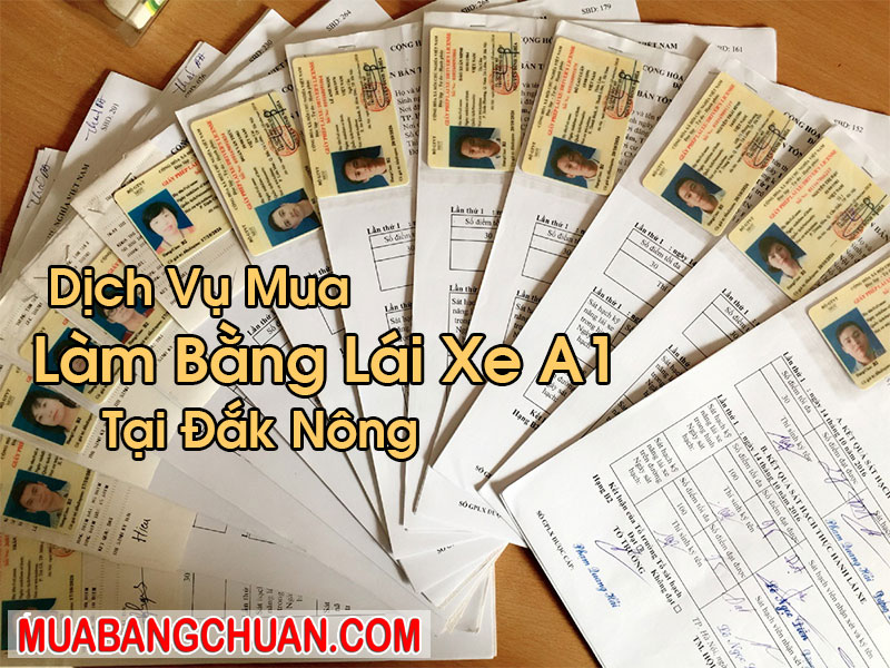 Làm Bằng Lái Xe A1 Tại Đắk Nông