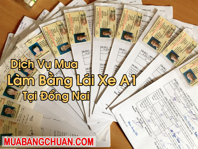 Làm Bằng Lái Xe A1 Tại Đồng Nai