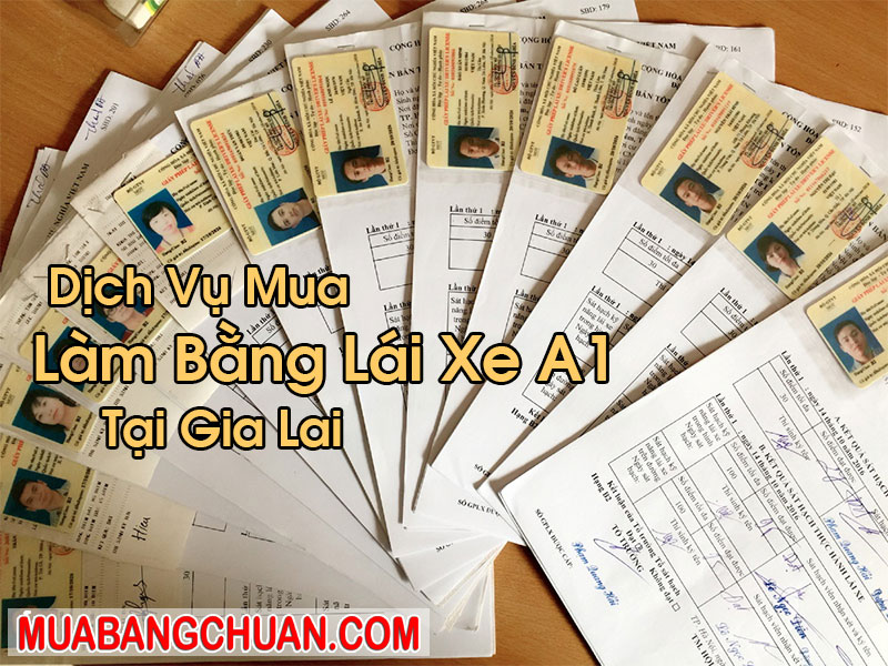 Làm Bằng Lái Xe A1 Tại Gia Lai