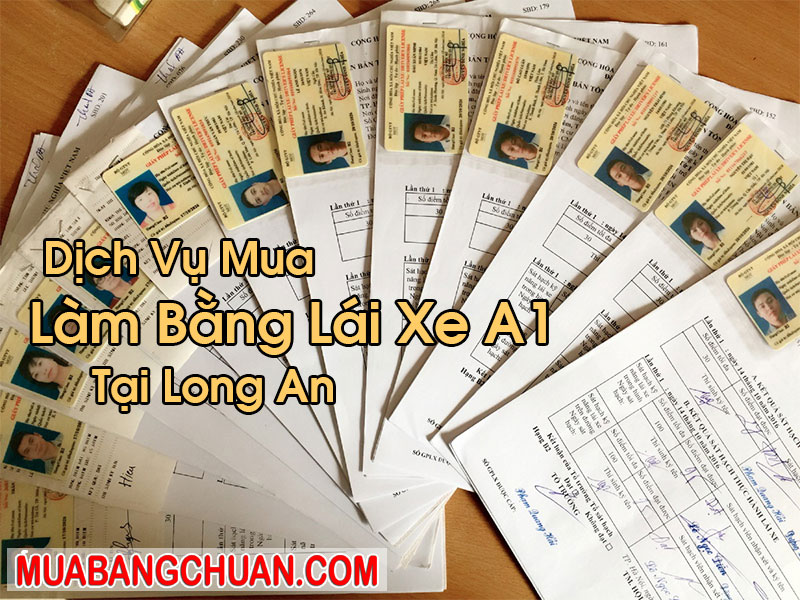 Làm Bằng Lái Xe A1 Tại Long An