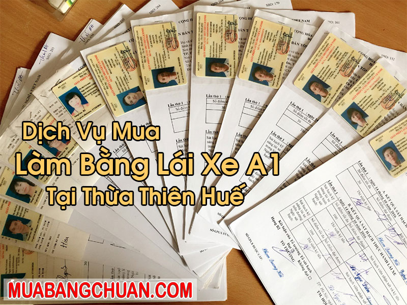 Làm Bằng Lái Xe A1 Tại Thừa Thiên Huế