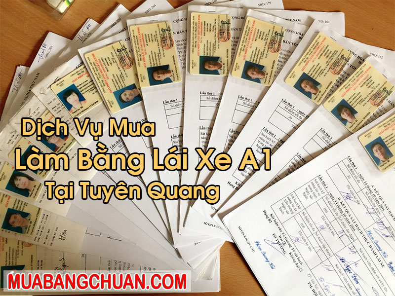 Làm Bằng Lái Xe A1 Tại Tuyên Quang